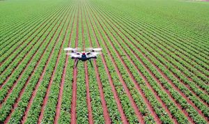 Internet-of-Things-Farming-Sensor-Untuk-Pertanian-Modern-5